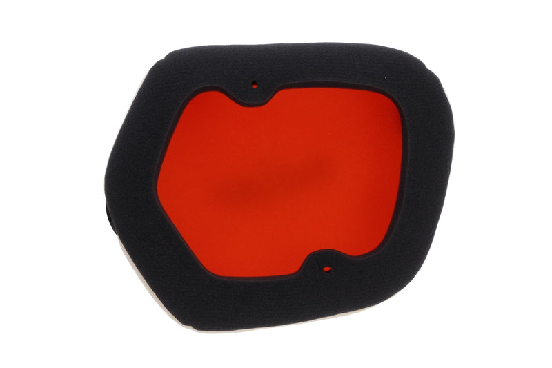 Load image into Gallery viewer, Twin Air - Air Filter FOR POWERFLOW KIT ONLY 154225C